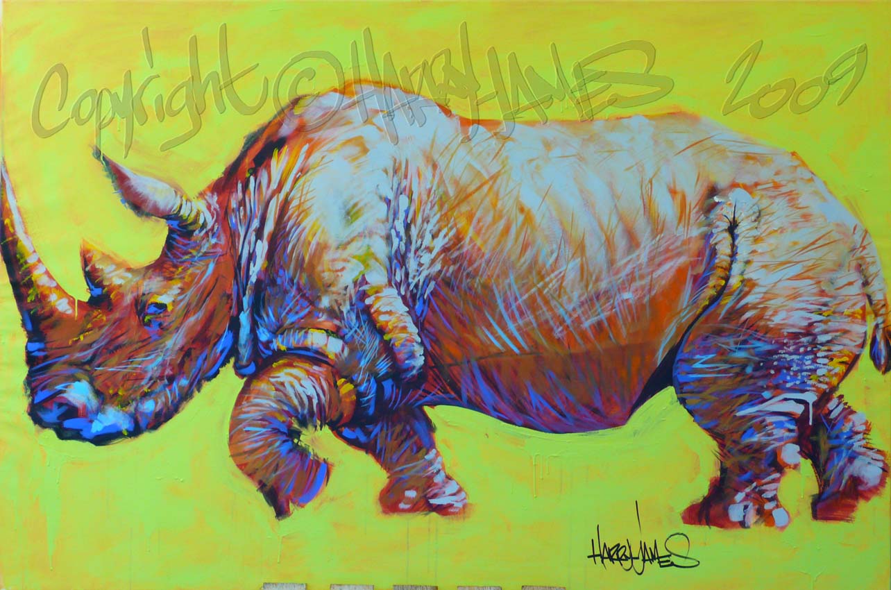 Rsultat de recherche dimages pour peinture rhinocros